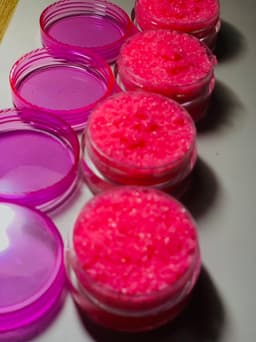 Fluffy Lipscrub ๐ธ